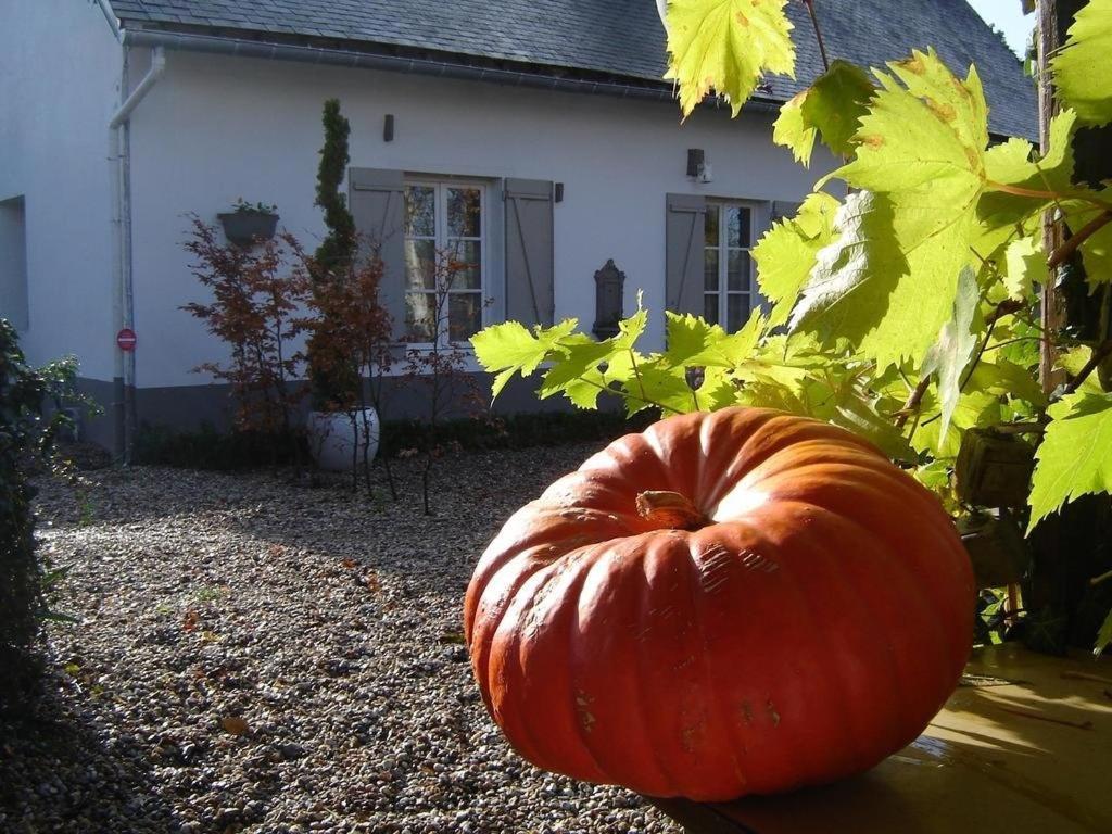 Gite Cottage D'Hamicourt Aux Portes De La Baie De Somme 외부 사진